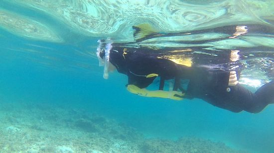 すぐに泳ぎ初めていきます