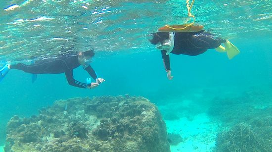 余裕の泳ぎで海を楽しんでいるお父さんとお母さんです。