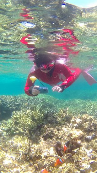 奥さんも撮影です