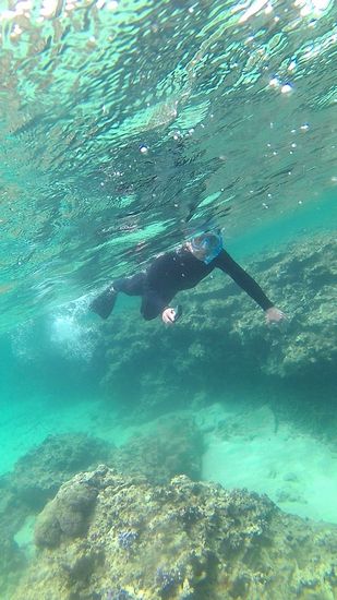 リピーターU田さんです