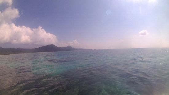 今日もシュノーケリング日和です