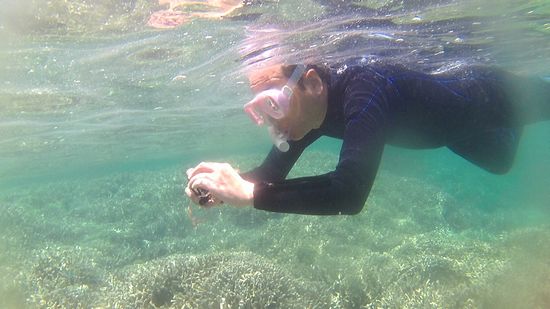 のんびり楽しんでいますね