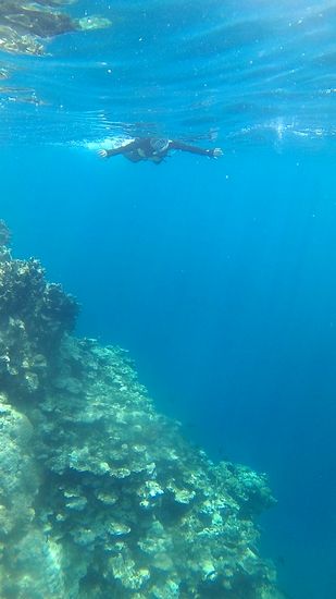 深場の透明度抜群でした