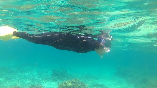 じっくりお魚さん観察です