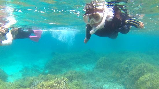 ユウカちゃん、一人で泳ぎ初めています。