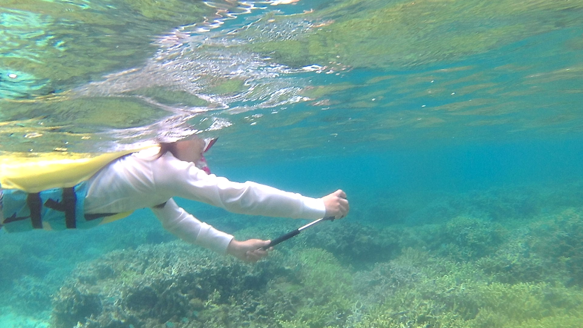 お母さん、水中世界を満喫中です