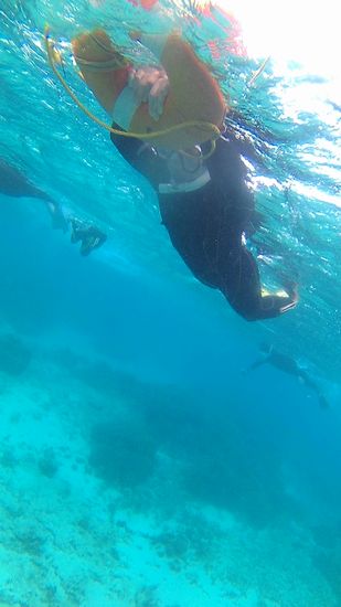 お母さん、がんばりましたっ！