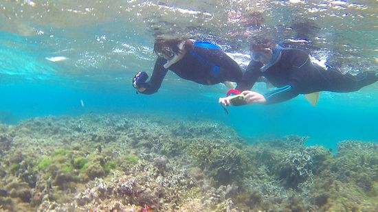 ダブルカメラで撮影です