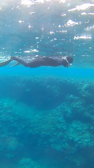 動きは完全にストップ