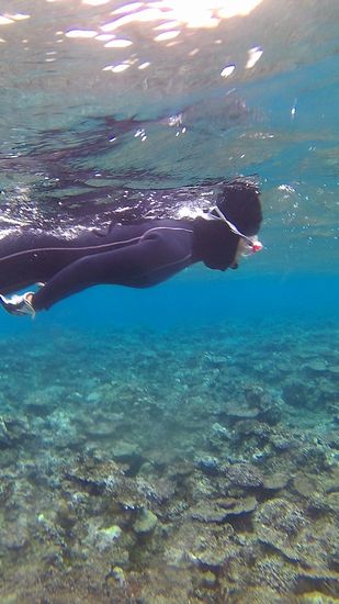 リピーターM井さんです