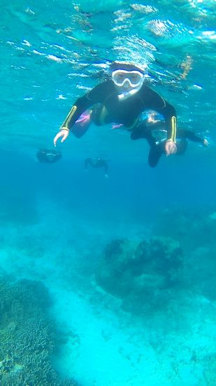 さぁ二本目のスタートです