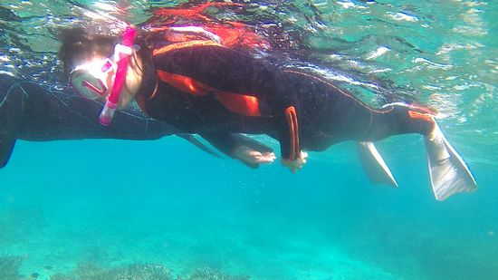 お姉ちゃん、活発な泳ぎです