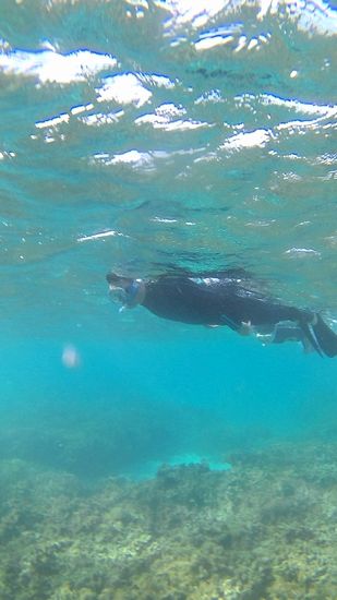 お父さんものんびり楽しんでいます