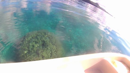 今日もプールみたいな水面です