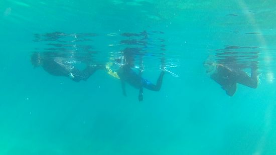 すーいすい余裕の泳ぎの皆さんです