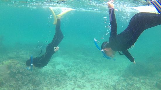 素潜りにトライです