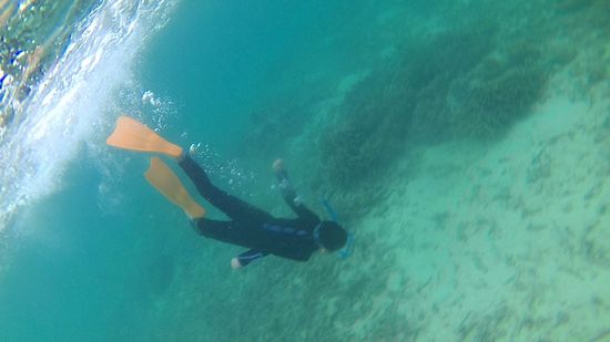 レイ君、潜れるようになりました。