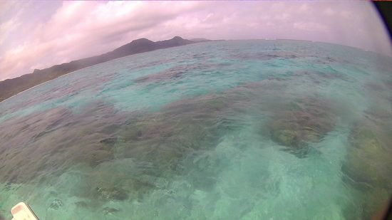 ほんのり晴れ間の一日です