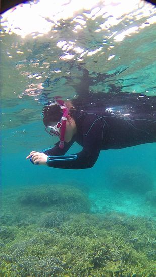 慣れてくると水中撮影