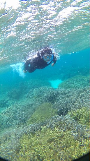 お父さんがんがん泳いでいます。