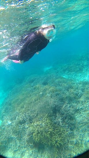 入水チェックは足早に完了です