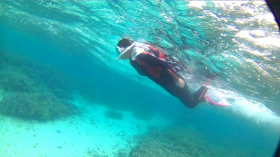 お母さんも余裕の泳ぎでしたね