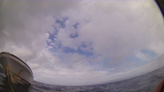 ほんのり晴れ間の登場です