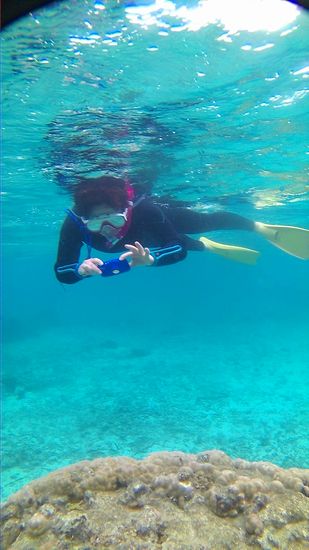 むしろ、ずっと撮影されています