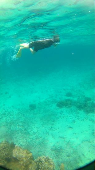 ゆったりのんびり進んでいると、