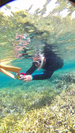 レンタルカメラで激写のお父さん