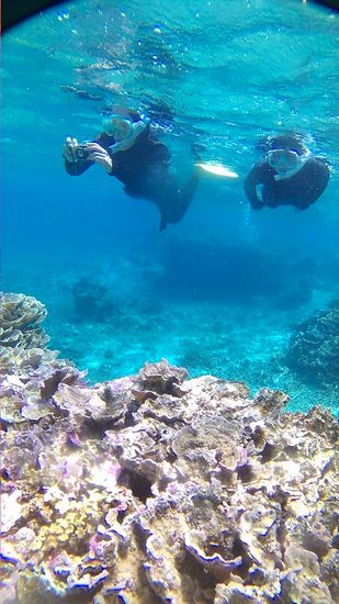 S田さんは、カメラで写真撮影