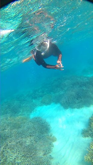 リノちゃん、一人で泳いでいます。