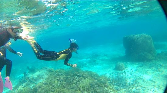 ユウセイ君も潜り倒しています