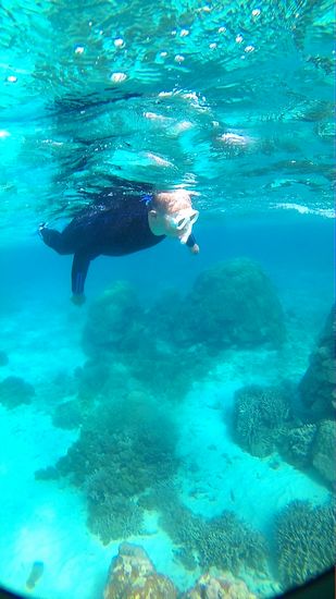 お父さん、入水チェックはすぐに完了です