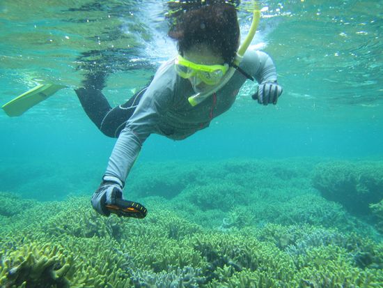 奥さんは写真撮影に没頭です