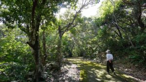 花粉症のない石垣島！旅行、ツアーに一度ご検討を。泡盛が飲んだり、肌をふいたりできくとのこと！